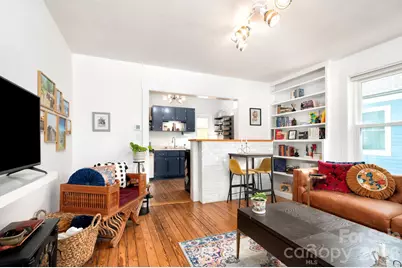 334 Hillside Street, Asheville, NC 28801 - Photo 8