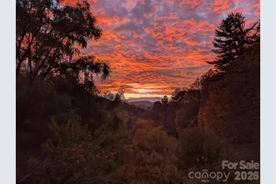 1105 Griffin Branch Road, Marshall, NC 28753 - Photo 48