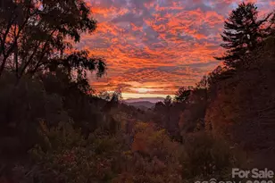 1105 Griffin Branch Rd, Marshall, NC 28753 - Photo 48