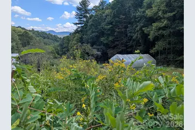 1105 Griffin Branch Road, Marshall, NC 28753 - Photo 46