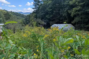 1105 Griffin Branch Rd, Marshall, NC 28753 - Photo 46