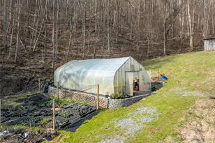 1105 Griffin Branch Rd, Marshall, NC 28753 - Photo 34