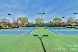 2709 Creek Manor Dr, Waxhaw, NC 28173 - Photo 44