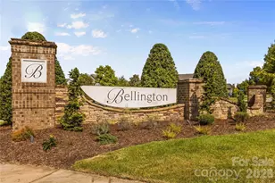 13111 Union Square Dr, Huntersville, NC 28078 - Photo 48