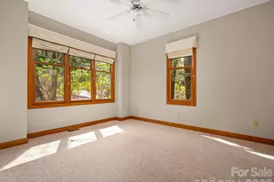 4 Wild Ivy Run, Hendersonville, NC 28739 - Photo 10