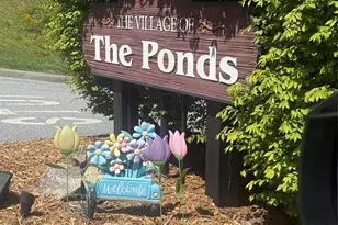 79 Mill Pond Way, Hendersonville, NC 28791 - Photo 38