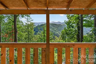 8032 Buck Creek Rd, Marion, NC 28752 - Photo 34