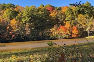 1359 Chestnut Grove Rd, Spruce Pine, NC 28777 - Photo 6