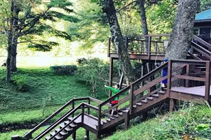 1359 Chestnut Grove Rd, Spruce Pine, NC 28777 - Photo 10