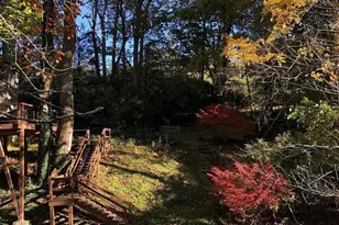 1359 Chestnut Grove Rd, Spruce Pine, NC 28777 - Photo 4