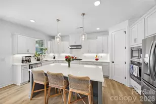 13810 Derby Farm Ln, Charlotte, NC 28278 - Photo 12