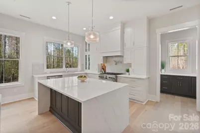 568 Longleaf Pine Lane, Clover, SC 29710 - Photo 10