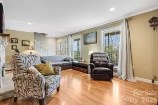 17 Moss Pink Pl, Asheville, NC 28806 - Photo 12