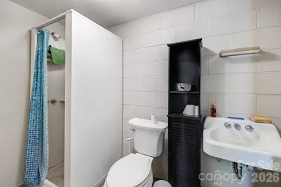 254 Orchard Circle, Laurel Park, NC 28739 - Photo 46