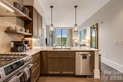 7 Patton Avenue #1005, Asheville, NC 28801 - Photo 8