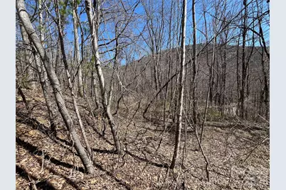 182 Old Mountain Pass, Hendersonville, NC 28792 - Photo 4