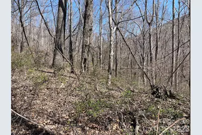 182 Old Mountain Pass, Hendersonville, NC 28792 - Photo 2