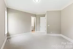 143 Brawley Harbor Pl, Mooresville, NC 28117 - Photo 30