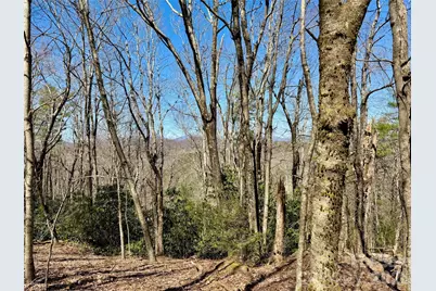 Tbd Grandview Drive #Tract A, Boone, NC 28607 - Photo 2