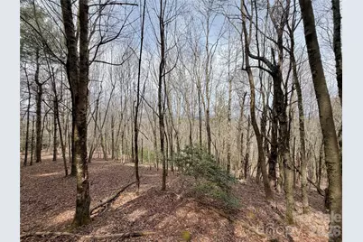 Tbd Grandview Drive #Tract A, Boone, NC 28607 - Photo 22