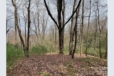 Tbd Grandview Drive #Tract A, Boone, NC 28607 - Photo 28