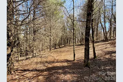 Tbd Grandview Drive #Tract A, Boone, NC 28607 - Photo 36