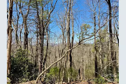 Tbd Grandview Drive #Tract A, Boone, NC 28607 - Photo 40