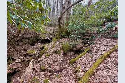 Tbd Grandview Drive #Tract A, Boone, NC 28607 - Photo 30