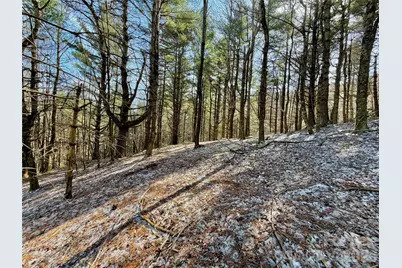 Tbd George Hayes Road #Tract B, Boone, NC 28607 - Photo 10