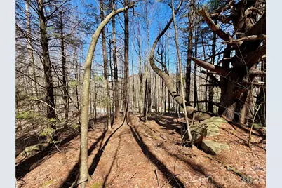 Tbd George Hayes Road #Tract B, Boone, NC 28607 - Photo 16