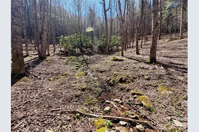 Tbd George Hayes Road #Tract B, Boone, NC 28607 - Photo 2