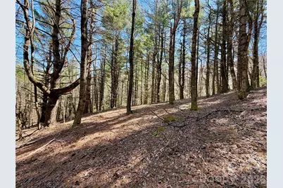 Tbd George Hayes Road #Tract B, Boone, NC 28607 - Photo 12