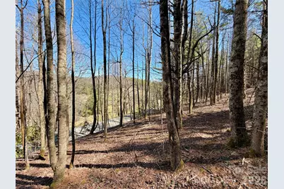 Tbd George Hayes Road #Tract B, Boone, NC 28607 - Photo 20