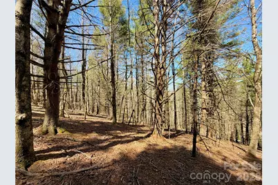 Tbd George Hayes Road #Tract B, Boone, NC 28607 - Photo 14