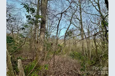 Tbd George Hayes Road #Tract C, Boone, NC 28607 - Photo 16