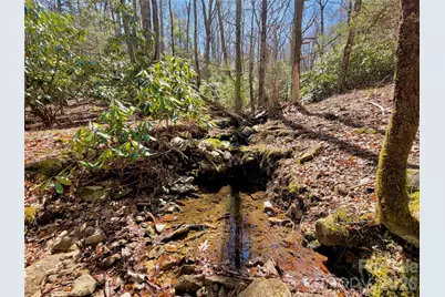 Tbd George Hayes Road #Tract C, Boone, NC 28607 - Photo 2