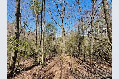 Tbd George Hayes Road #Tract C, Boone, NC 28607 - Photo 22