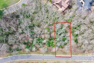 21 Settings Blvd, Black Mountain, NC 28711 - Photo 1