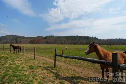 316 Lewis Fork Baptist Church Road, Purlear, NC 28665 - Photo 8