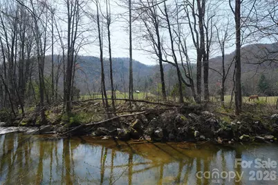 316 Lewis Fork Baptist Church Road, Purlear, NC 28665 - Photo 36