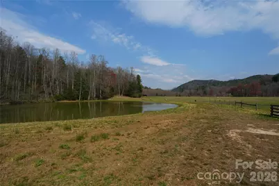316 Lewis Fork Baptist Church Road, Purlear, NC 28665 - Photo 6