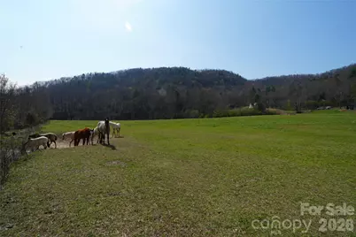 316 Lewis Fork Baptist Church Road, Purlear, NC 28665 - Photo 28