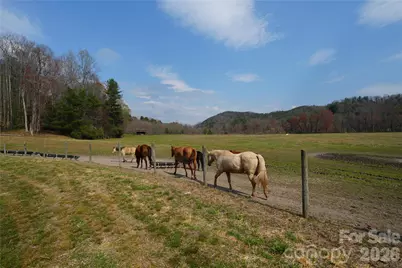 316 Lewis Fork Baptist Church Road, Purlear, NC 28665 - Photo 10