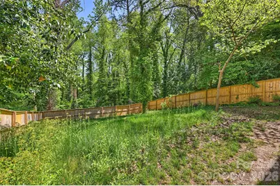 1104 Norris Avenue, Charlotte, NC 28206 - Photo 30