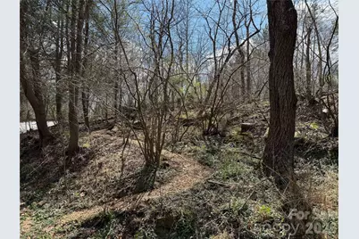 4 Zachary Ridge Road, Asheville, NC 28804 - Photo 38