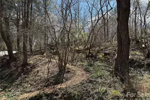 4 Zachary Ridge Rd, Asheville, NC 28804 - Photo 38