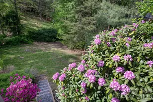 4 Zachary Ridge Rd, Asheville, NC 28804 - Photo 40