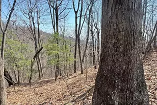 0000 Pinnacle Pkwy, Union Mills, NC 28167 - Photo 1