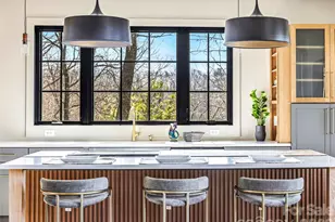 10 Nellie Bell Ln, Swannanoa, NC 28778 - Photo 6