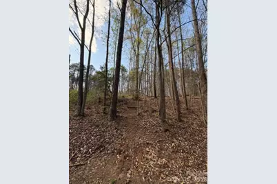 447 Hopewell Church Road #58, Catawba, NC 28609 - Photo 1